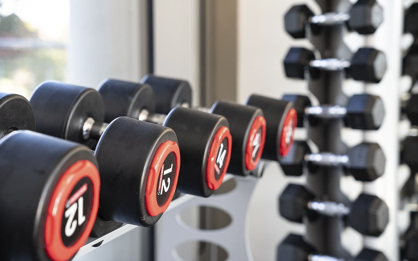 Hanteln im Trainingsbereich des Bewegungszentrums Hochdorf